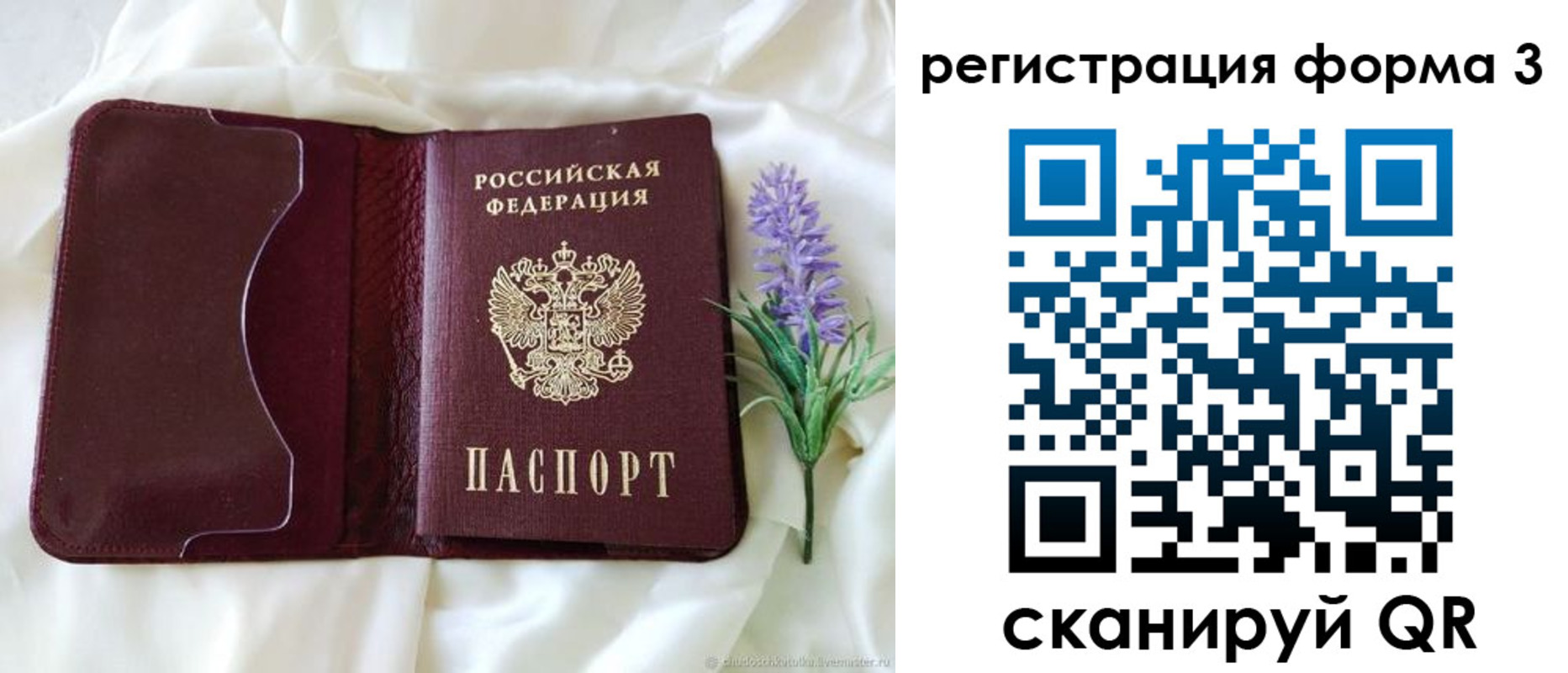 прописка 2025 в Арсеньеве
